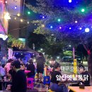 대구통닭안지랑 | 대구 야장술집 앞산 노상 치킨집 앞산옛날통닭 치맥 생맥주