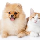 뉴월드동물병원 이미지