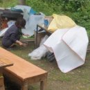 이순이농장 이미지