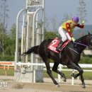 대승축산 이미지