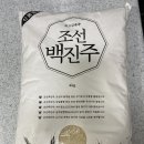 백진주 | 씹을수록 단맛 나는 최고급 품종 백미쌀 조선백진주 자취생 솔직후기