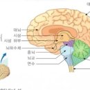 신양경로당 이미지