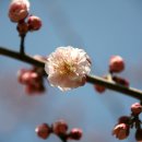 두륜산농장 이미지