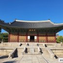 청춘투어