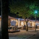 캠핑 앨리스 이미지