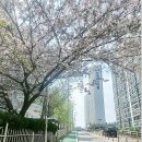 오르다수학교습소 - 북구 서하로94번길 10-1 | 오르다수학교습소