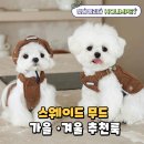 강아지 스웨이드 옷 추천, 따뜻한 가을 겨울 산책룩 완성 🤎