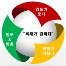 중목구조에 대한 궁금증, 핵심 알짜 정보로 속 시원히 해결해보세요!! 이미지