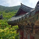 황금에너지 이미지