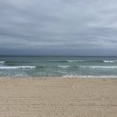 송정바다약국 이미지