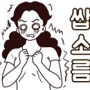 풍미칼국수