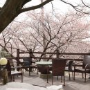 산과구름아래 이미지