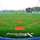 군산월명종합경기장야구장 이미지