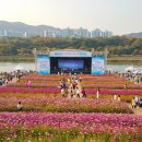 (주)화순교통 | 2025 전라남도 10월 가을 축제 가이드! 꽃명소 총정리