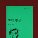조은시절 이미지