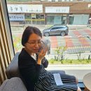 용전주유소 화장실 | 24.6.16 모닝 뿡뿡이 대전 용전 아이나비 공식대리점 네비게이션 블랙박스 - 스타벅스용전DT 호작도...
