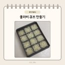 콜라비 | (후기 이유식) 콜라비 큐브 만들기
