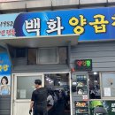 자갈치역 | 부산 남포동 맛집 백화양곱창 내돈내산 솔직후기 모듬구이 먹고 온 양곱창 ㄹㅇ 찐후기