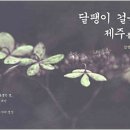 제주집2006