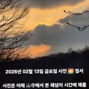 악어구름