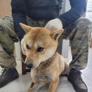 GS25 증평믿음점 이미지