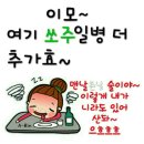 술시 이미지
