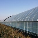 행복한 한우농장 이미지