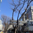 심플 | 대구 김광석다시그리기길 축구유니폼 편집샵 심플책방 후기