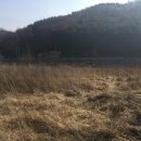 강림면343 이미지