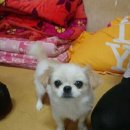 RE;우리