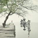 선지그리다