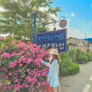 장미를찾는사람들 | 경남 함안 가볼만한곳, 숨은 장미 정원 카페 장미를찾는사람들