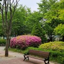 백마공원 이미지