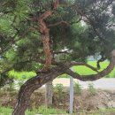 농업회사법인 한그루(주)