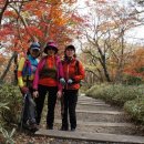 누리소농장 이미지