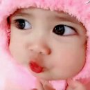 (주) 핑크솜 이미지
