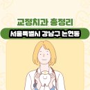 서울특별시 강남구 논현동 교정치과 총정리