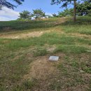 신기리 고분군 이미지