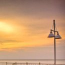 새하마노 이미지