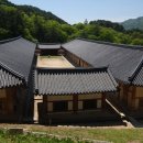 합천이모 이미지