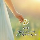 감성 비 이미지 이미지
