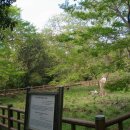 가파도올레길 이미지