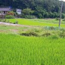 남해-185 이미지