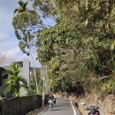 괴평입구자전거도로 | 일월담 전기자전거 대여 렌탈 가격 시간 자전거도로