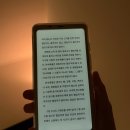 오닉스 | 오닉스 팔마2 후기