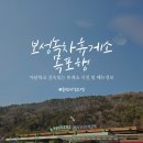 보성녹차(목포)휴게소 | 보성녹차 휴게소(목포 방향) 푸드코트 메뉴와 시설 정보