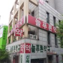 늘푸른동명