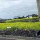 가족키즈펜션안덕 이미지