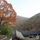 연제구-138 이미지