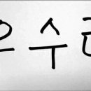 우수리 이미지